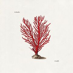 Colombre – Corallo
