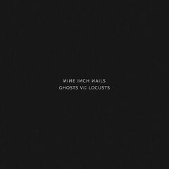 Nine Inch Nails – Ghosts VI: Locusts