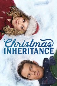 Noël à Snow Falls (Christmas Inheritance)