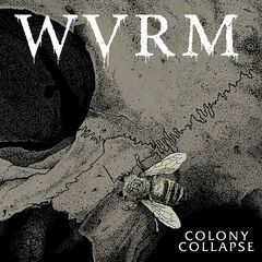 WVRM – Colony Collapse
