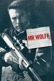 Mr Wolff (The Accountant)
