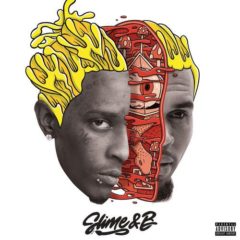 Chris Brown - Slime & B (V.2)