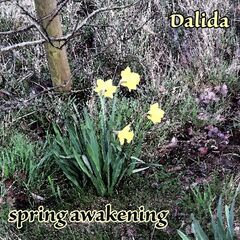 Dalida – Spring Awakening