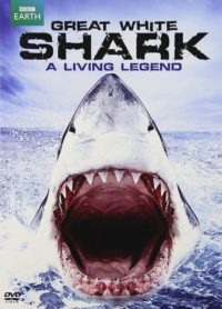 Great White Shark: A Living Legend
