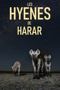 Les hyènes de Harar