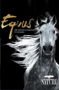 Equus une histoire de chevaux et d’hommes