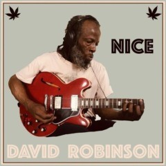 David Robinson - Nice