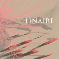 Linaire - Linaire