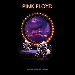 Pink Floyd – Delicate Sound of Thunder (2019 Remix) (Live)