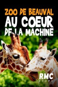 Zoo de Beauval : au coeur de la machine