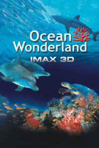 Les Merveilles de l’Océan 3D