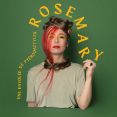 Rosemary MC-Comeau - Une Envolée de Ptérodactyles