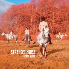 Stranded Horse – Grand Rodeo