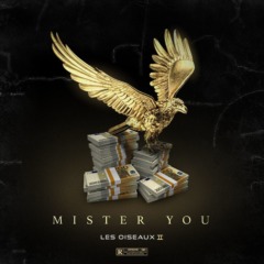 Mister you - Les oiseaux II