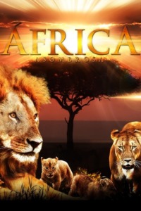 Afrique Sauvage 3D