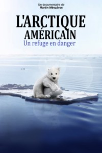 L’Arctique américain un refuge en danger