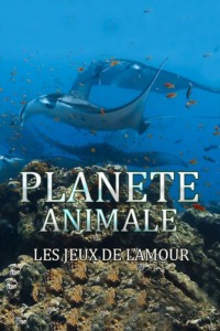 Planète Animale : Les jeux de l’amour