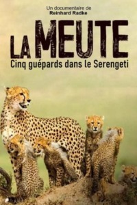 La Meute : Cinq guépards dans le Serengeti