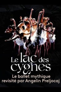 Le lac des cygnes au théâtre national de Chaillot