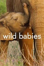 Wild Babies : Petits et Sauvages