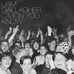 Liam Gallagher - C’mon you konw