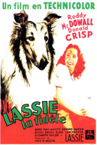 Fidèle Lassie