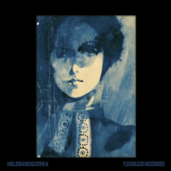 Helena Noguerra - Fleurs bleues_Noces noires