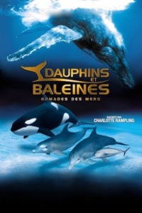 IMAX Dauphins et baleines : Nomades des mers