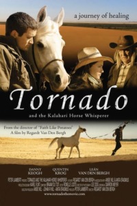 Tornado – L’étalon du désert