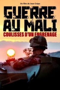 Guerre au Mali : coulisses d’un engrenage