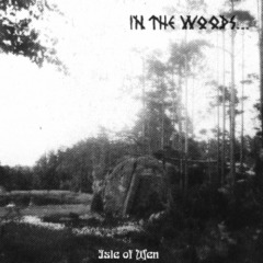 In The Woods – Isle Of Men