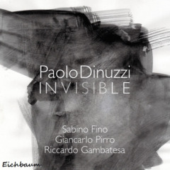 Paolo Dinuzzi - Invisible