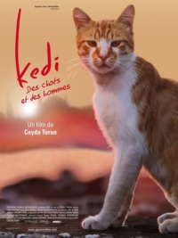 Kedi – Des chats et des hommes
