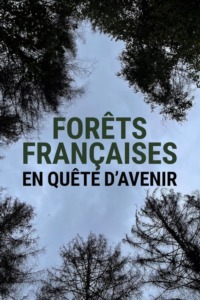 Forêts françaises en quête d’avenir
