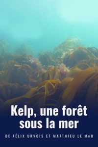 Kelp une forêt sous la mer