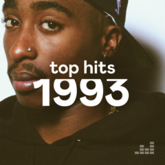 VA - Top Hits 1993