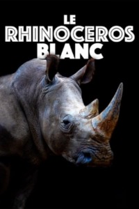 Le rhinocéros blanc – Une aventure familiale au coeur de l’Afrique
