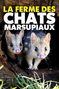 La ferme des chats marsupiaux – Un refuge en Tasmanie