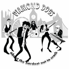 Diamond Dogs – About The Hardest Nut To Crack