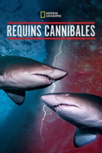 Requins Cannibales