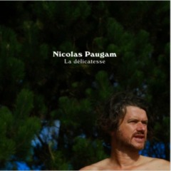 Nicolas Paugam - La délicatesse