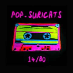 Pop Suricats - 14_80