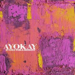Ayokay – If Only For A Moment