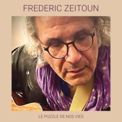 Frederic Zeitoun - Le puzzle de nos vies