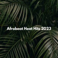 VA - Afrobeat Heat Hits 2023