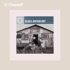 Bryan New, Andrew Macdonald - Blues Anthology