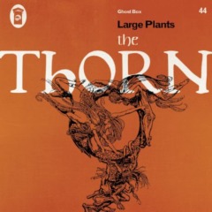 Large Plants – The Thorn 