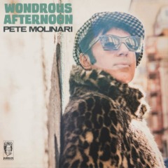 Pete Molinari – Wondrous Afternoon