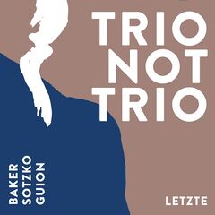 Aidan Baker – Trio Not Trio Letzte