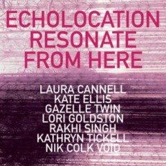 Laura Cannell – Echolocation Resonate From Here
